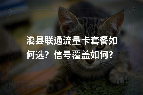 浚县联通流量卡套餐如何选？信号覆盖如何？