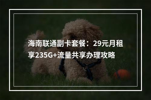 海南联通副卡套餐：29元月租享235G+流量共享办理攻略