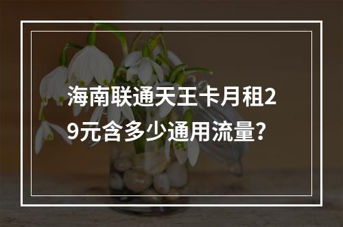 海南联通天王卡月租29元含多少通用流量？