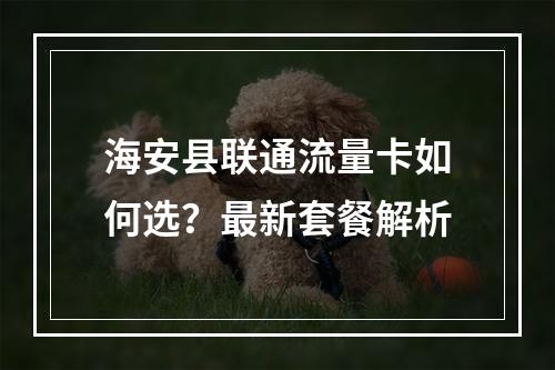 海安县联通流量卡如何选？最新套餐解析