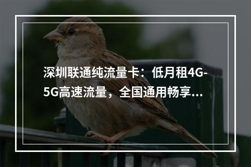 深圳联通纯流量卡：低月租4G-5G高速流量，全国通用畅享无忧