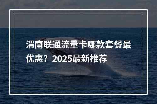 渭南联通流量卡哪款套餐最优惠？2025最新推荐