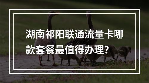 湖南祁阳联通流量卡哪款套餐最值得办理？