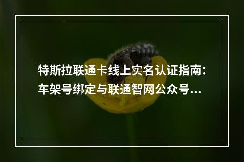 特斯拉联通卡线上实名认证指南：车架号绑定与联通智网公众号流程