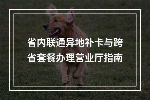 省内联通异地补卡与跨省套餐办理营业厅指南