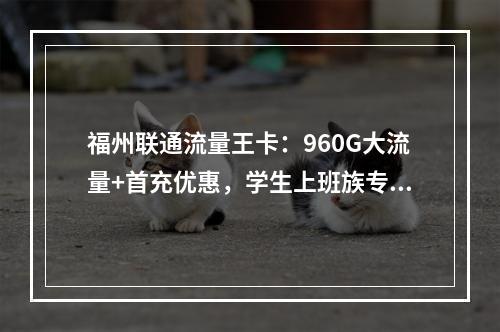 福州联通流量王卡：960G大流量+首充优惠，学生上班族专享