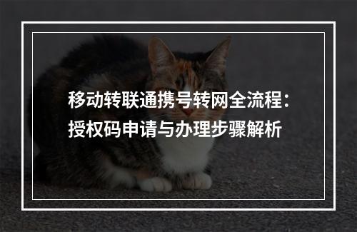 移动转联通携号转网全流程：授权码申请与办理步骤解析
