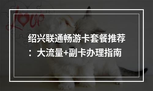 绍兴联通畅游卡套餐推荐：大流量+副卡办理指南