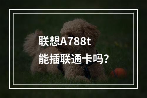 联想A788t能插联通卡吗？