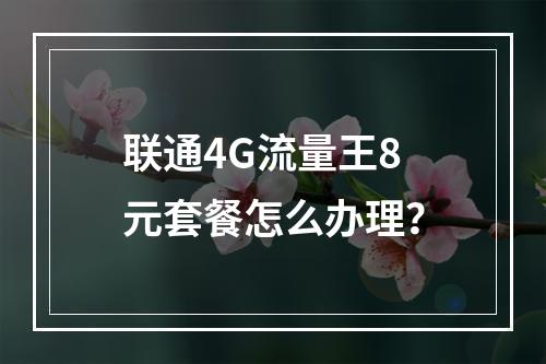 联通4G流量王8元套餐怎么办理？