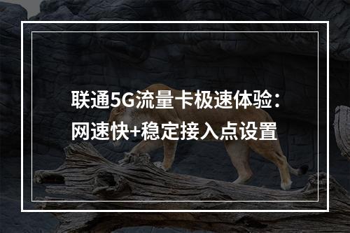 联通5G流量卡极速体验：网速快+稳定接入点设置