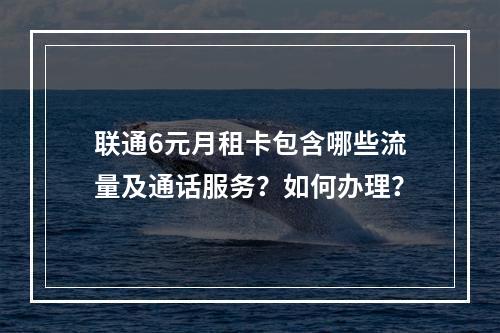 联通6元月租卡包含哪些流量及通话服务？如何办理？