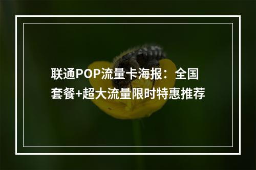 联通POP流量卡海报：全国套餐+超大流量限时特惠推荐