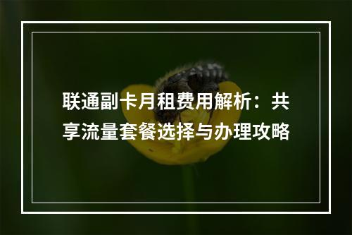 联通副卡月租费用解析：共享流量套餐选择与办理攻略