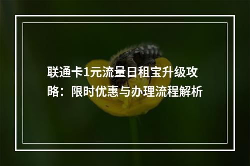 联通卡1元流量日租宝升级攻略：限时优惠与办理流程解析