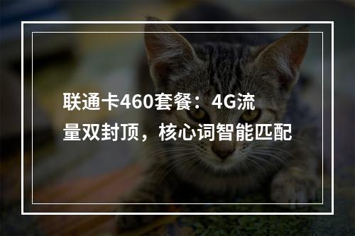 联通卡460套餐：4G流量双封顶，核心词智能匹配