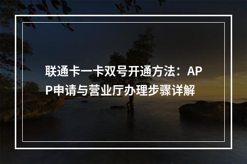 联通卡一卡双号开通方法：APP申请与营业厅办理步骤详解