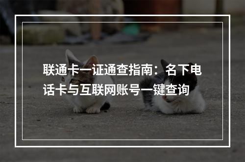 联通卡一证通查指南：名下电话卡与互联网账号一键查询