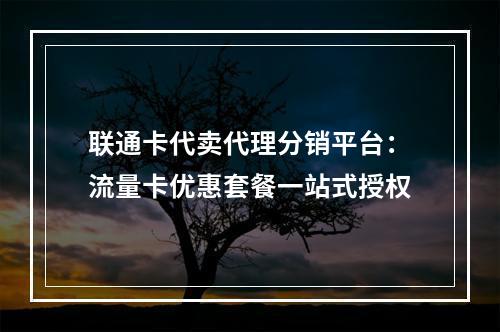 联通卡代卖代理分销平台：流量卡优惠套餐一站式授权