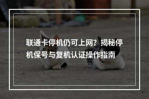 联通卡停机仍可上网？揭秘停机保号与复机认证操作指南