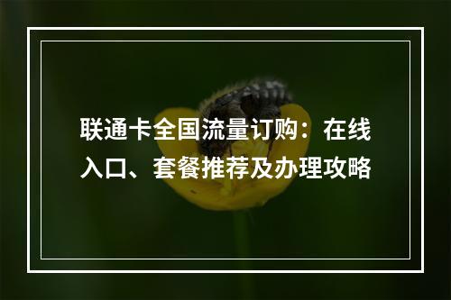 联通卡全国流量订购：在线入口、套餐推荐及办理攻略