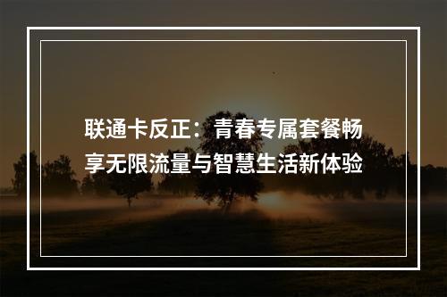 联通卡反正：青春专属套餐畅享无限流量与智慧生活新体验