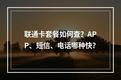 联通卡套餐如何查？APP、短信、电话哪种快？