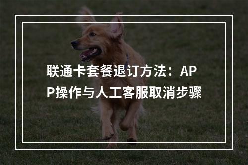 联通卡套餐退订方法：APP操作与人工客服取消步骤