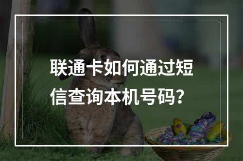 联通卡如何通过短信查询本机号码？