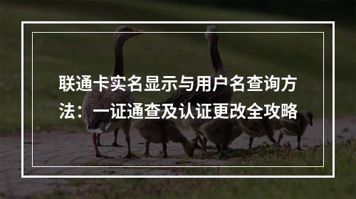 联通卡实名显示与用户名查询方法：一证通查及认证更改全攻略