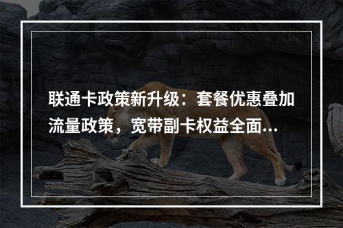 联通卡政策新升级：套餐优惠叠加流量政策，宽带副卡权益全面解析