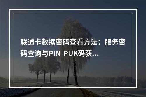 联通卡数据密码查看方法：服务密码查询与PIN-PUK码获取指南