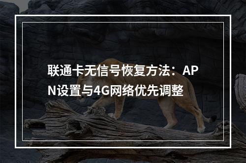 联通卡无信号恢复方法：APN设置与4G网络优先调整