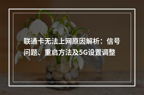联通卡无法上网原因解析：信号问题、重启方法及5G设置调整