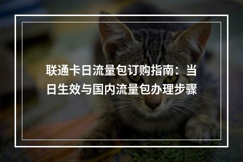 联通卡日流量包订购指南：当日生效与国内流量包办理步骤