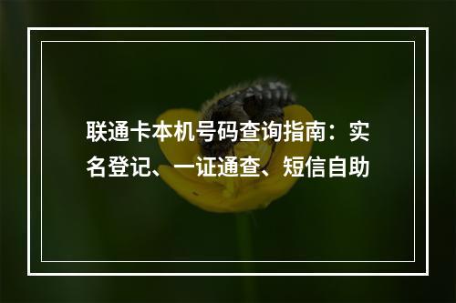 联通卡本机号码查询指南：实名登记、一证通查、短信自助