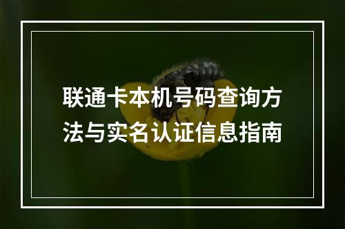 联通卡本机号码查询方法与实名认证信息指南