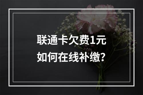 联通卡欠费1元如何在线补缴？