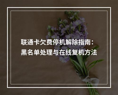 联通卡欠费停机解除指南：黑名单处理与在线复机方法