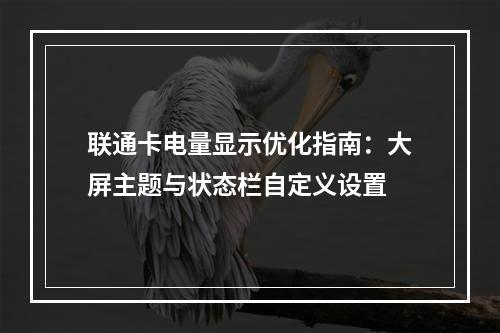 联通卡电量显示优化指南：大屏主题与状态栏自定义设置