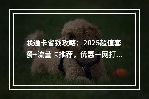 联通卡省钱攻略：2025超值套餐+流量卡推荐，优惠一网打尽