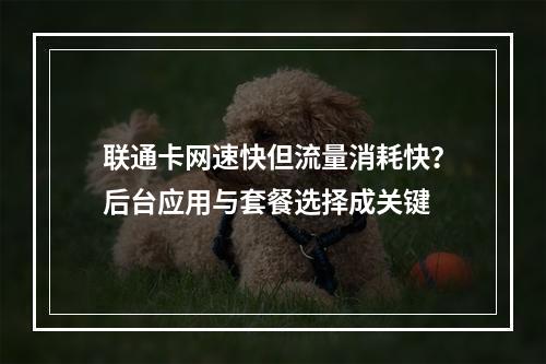 联通卡网速快但流量消耗快？后台应用与套餐选择成关键
