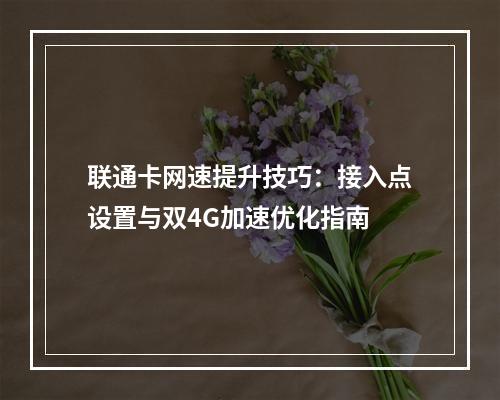 联通卡网速提升技巧：接入点设置与双4G加速优化指南