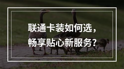 联通卡装如何选，畅享贴心新服务？
