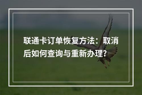 联通卡订单恢复方法：取消后如何查询与重新办理？