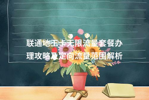 联通地王卡无限流量套餐办理攻略及定向流量范围解析