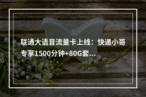 联通大语音流量卡上线：快递小哥专享1500分钟+80G套餐
