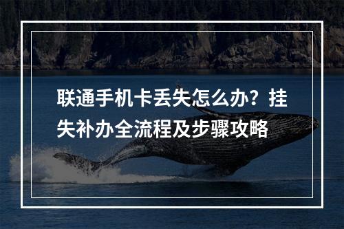 联通手机卡丢失怎么办？挂失补办全流程及步骤攻略