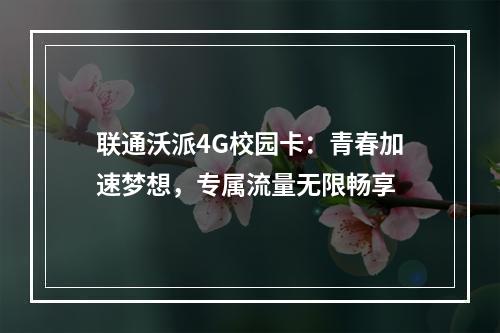 联通沃派4G校园卡：青春加速梦想，专属流量无限畅享