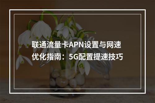 联通流量卡APN设置与网速优化指南：5G配置提速技巧